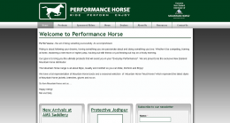 screenshot performance horse